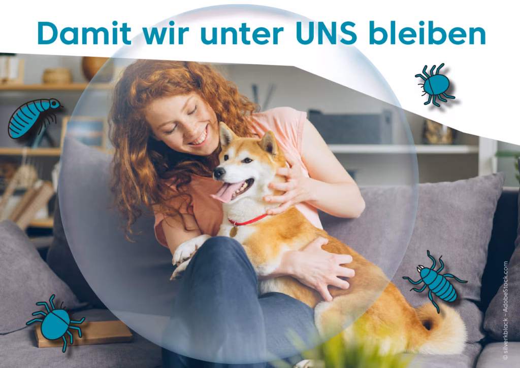 Postkarte Tierarzt am Hansaplatz Aug 2024 06 1