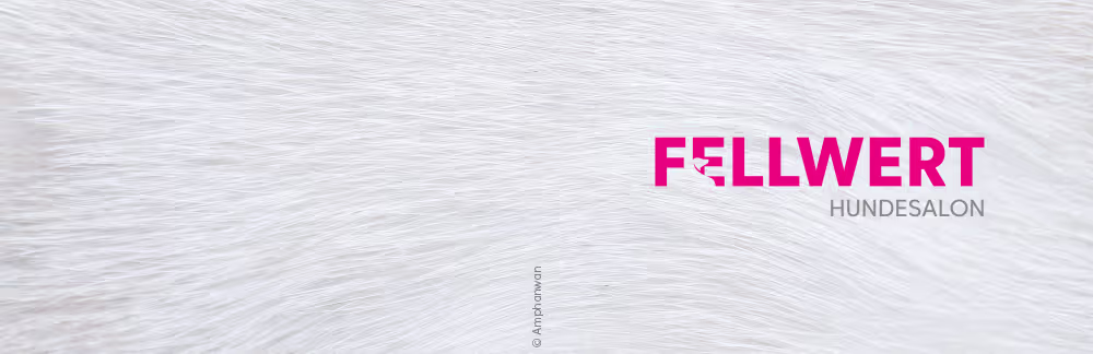 Visitenklappkarte Fellwert Feb 2025 05 1