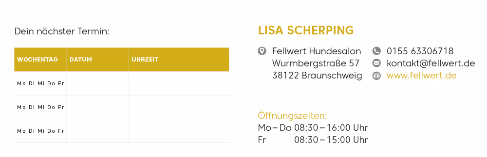 Visitenklappkarte Fellwert Feb 2025 05 2