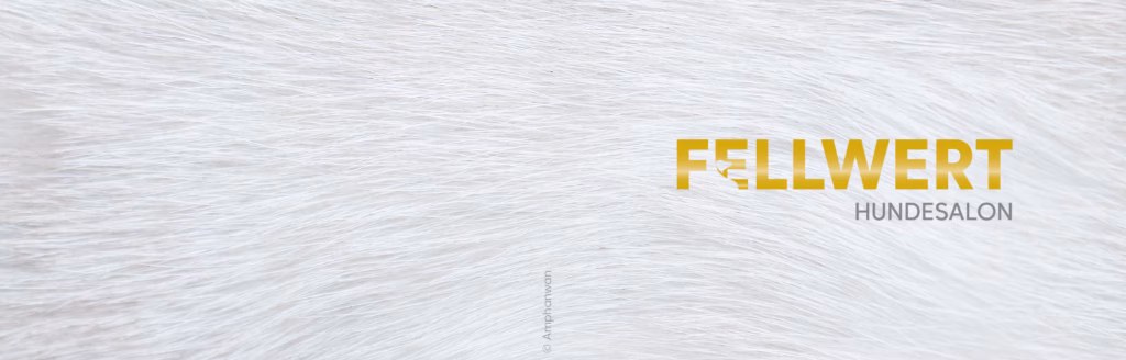 Visitenklappkarte Fellwert Feb 2025